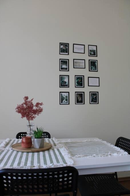 The Oasis By Downtown Apartments Târgu-Mureş Exterior foto
