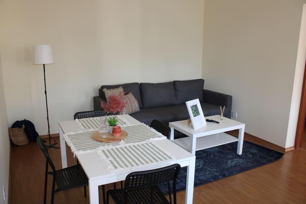 The Oasis By Downtown Apartments Târgu-Mureş Exterior foto